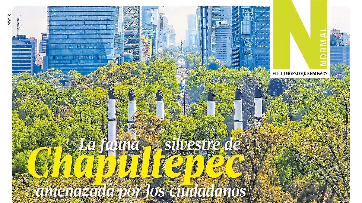 chapultepec SITIO1